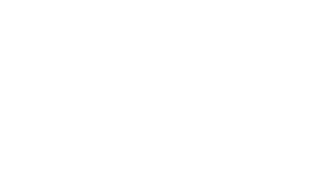 RAZ Consulting